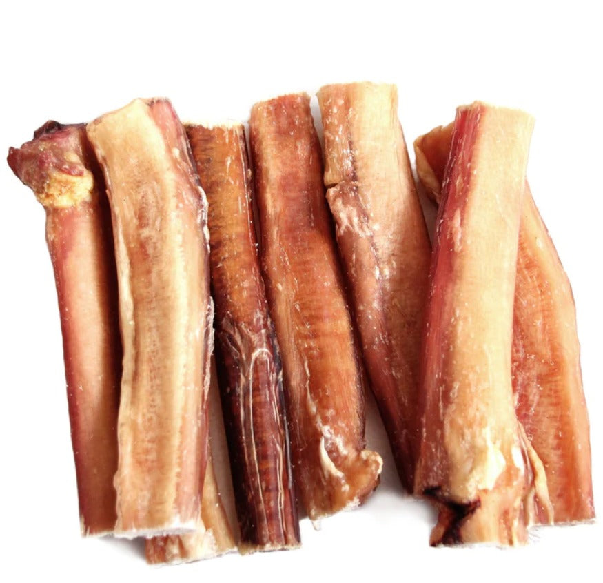 Tuesday’s Natural Dog Company 6" Jumbo Bully Sticks Odor Free