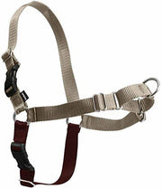 PetSafe Easy Walk Harness Fawn