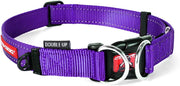 EZYDOG Double Up Collar Purple