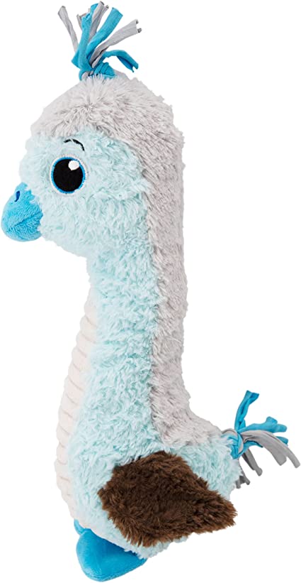 Outward Hounds Blue Footed Booby Medium - BlackPaw - For Every Adventure