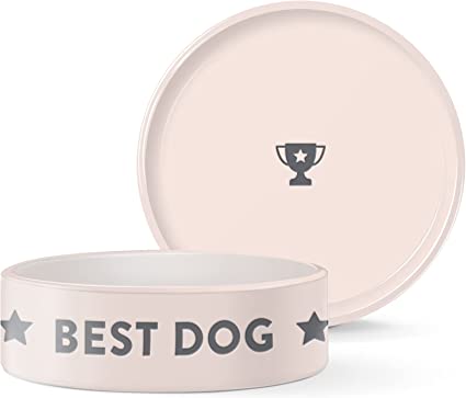 Pet Shop Pink Best Dog Bowl - BlackPaw - For Every Adventure