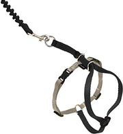 PetSafe Come With Me Kitty Harness and Leash Black/Silver - BlackPaw - For Every Adventure