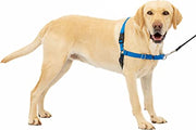 PetSafe Easy Walk Harness Blue - BlackPaw - For Every Adventure