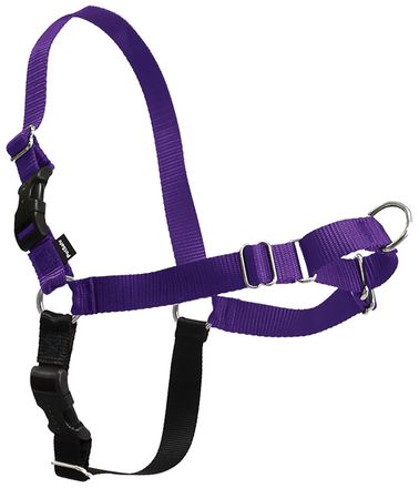 PetSafe Easy Walk Harness Purple - BlackPaw - For Every Adventure