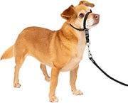 PetSafe Gentle Leader Black - BlackPaw - For Every Adventure