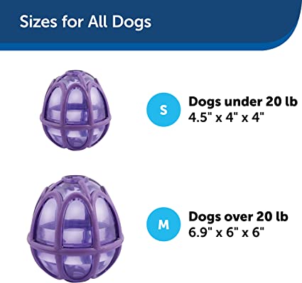 PetSafe Kibble Nibble - BlackPaw - For Every Adventure