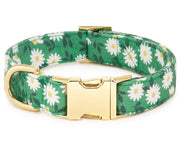 The Foggy Dog Collar Daisies XS - BlackPaw - For Every Adventure