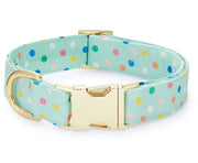 The Foggy Dog Collar Dots L - BlackPaw - For Every Adventure