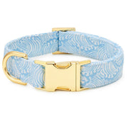 The Foggy Dog Collar Light Blue - BlackPaw - For Every Adventure