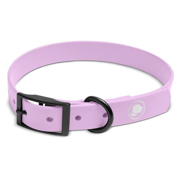 The Modern Dog Company Collar Pink - BlackPaw - For Every Adventure