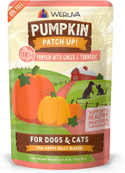 Weruva Pumpkin Ginger & Tumeric Pouch 1.05oz - BlackPaw - For Every Adventure